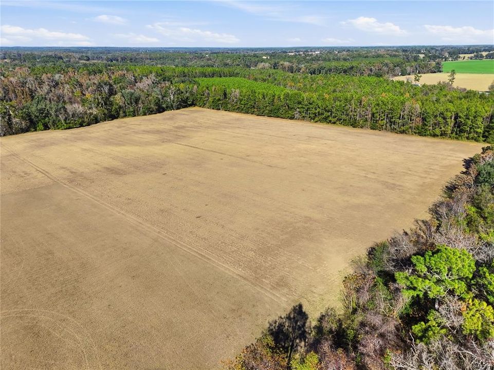 For Sale: $390,000 (39.91 acres)
