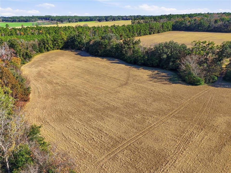For Sale: $390,000 (39.91 acres)