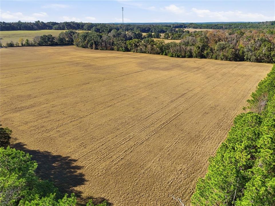 For Sale: $390,000 (39.91 acres)