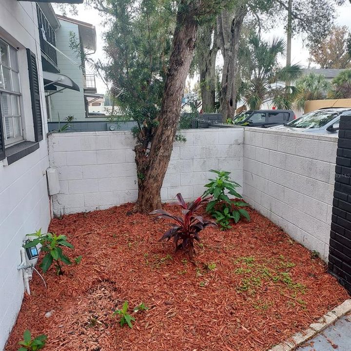 出租: $2,100 (3 贝兹, 1 浴室, 1448 平方英尺)