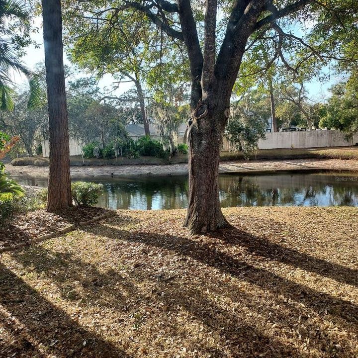 出租: $2,400 (3 贝兹, 2 浴室, 1389 平方英尺)