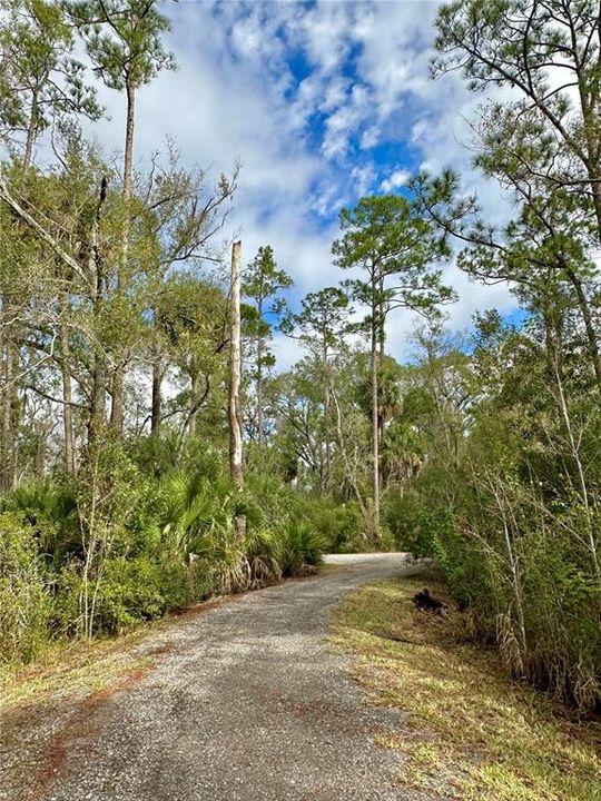 Active With Contract: $429,000 (3 beds, 2 baths, 2004 Square Feet)