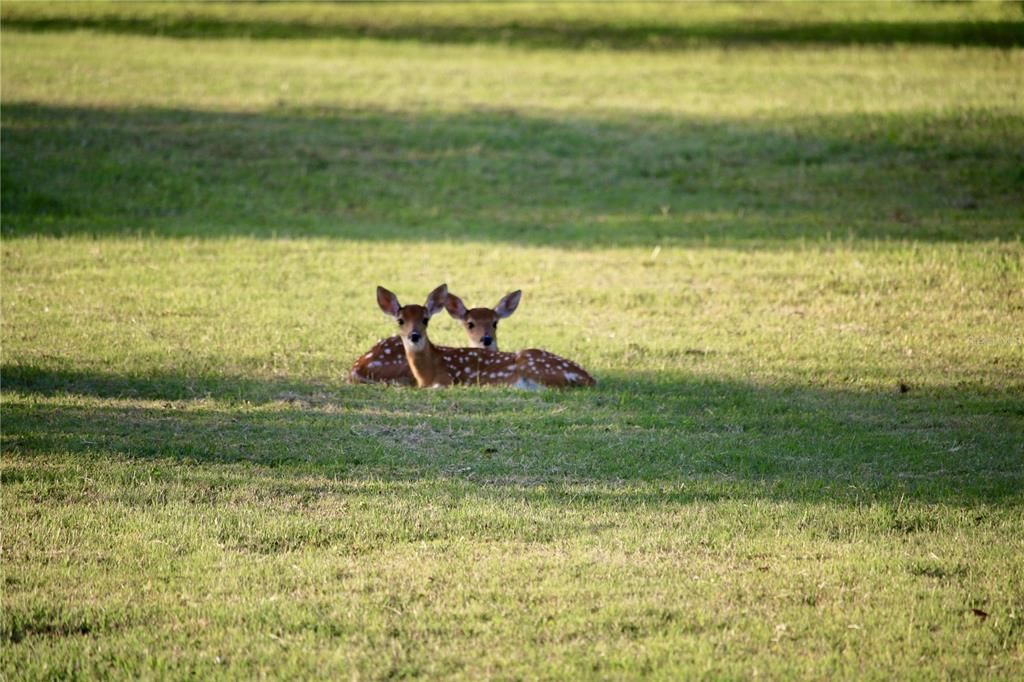 For Sale: $899,000 (4 beds, 3 baths, 2701 Square Feet)
