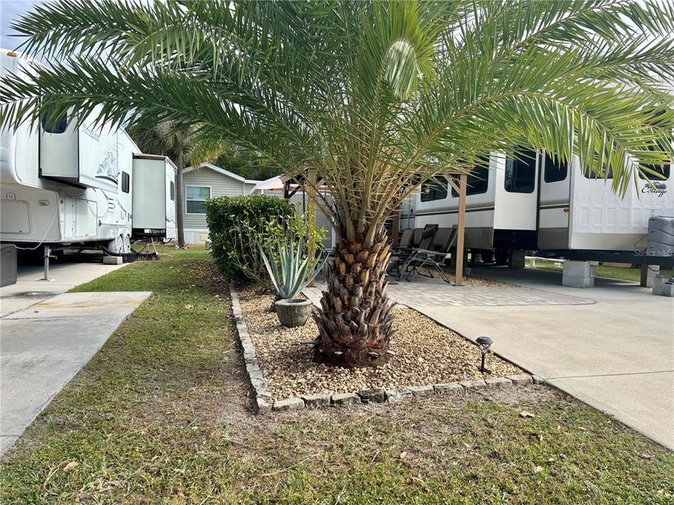 For Sale: $79,500 (0.07 acres)