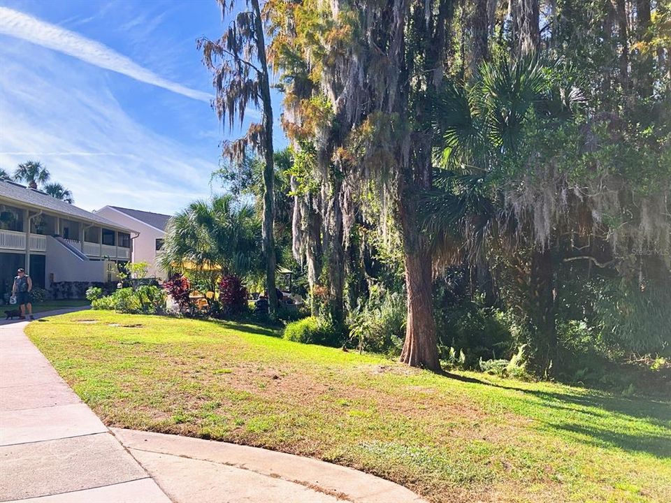 待售: $159,900 (1 贝兹, 1 浴室, 456 平方英尺)