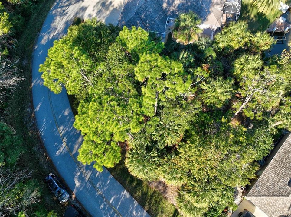 待售: $218,000 (0.22 acres)