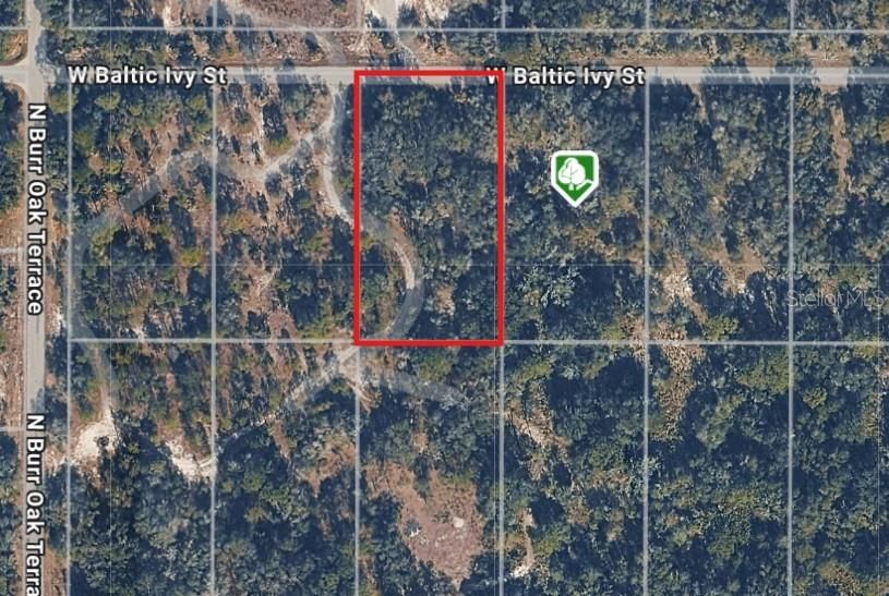 En Venta: $29,000 (1.16 acres)