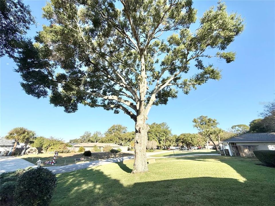 На продажу: $249,900 (2 спален, 2 ванн, 1483 Квадратных фут)