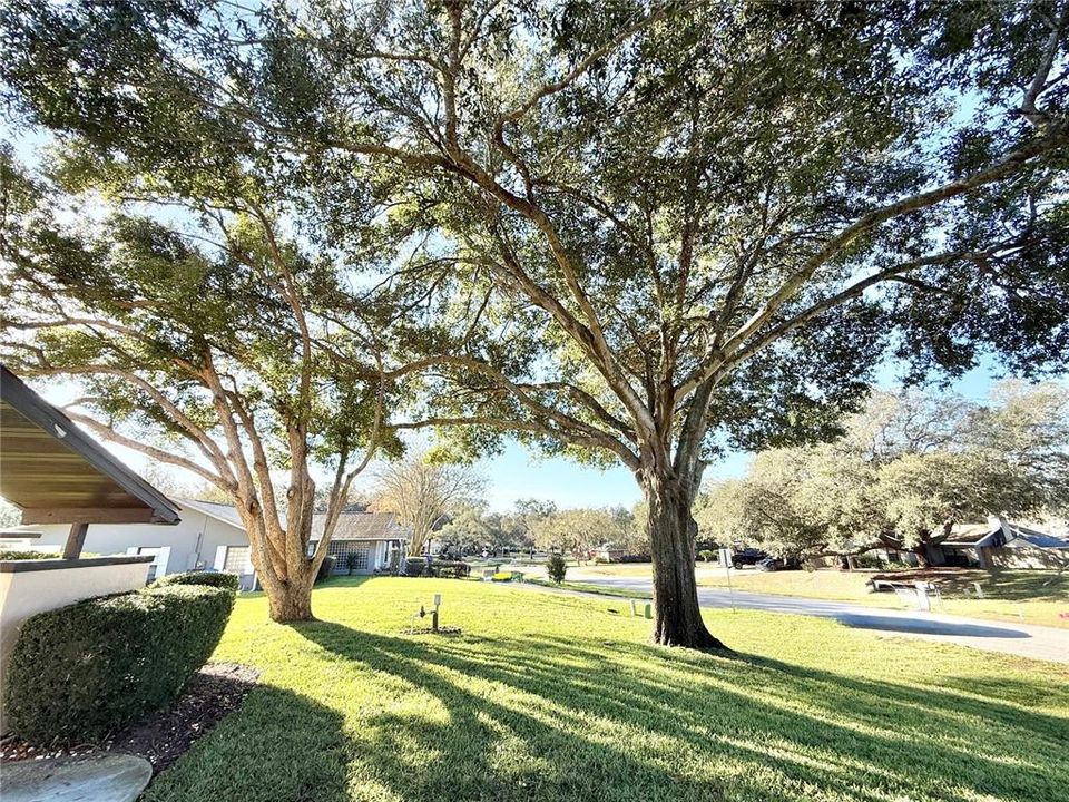 На продажу: $249,900 (2 спален, 2 ванн, 1483 Квадратных фут)