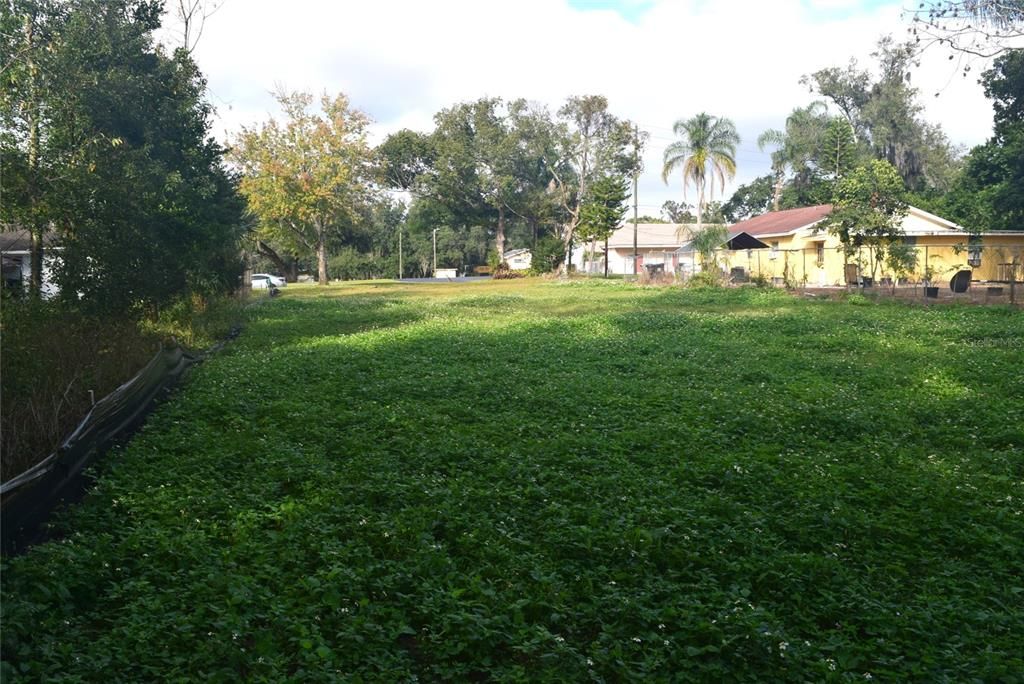 For Sale: $79,900 (0.31 acres)