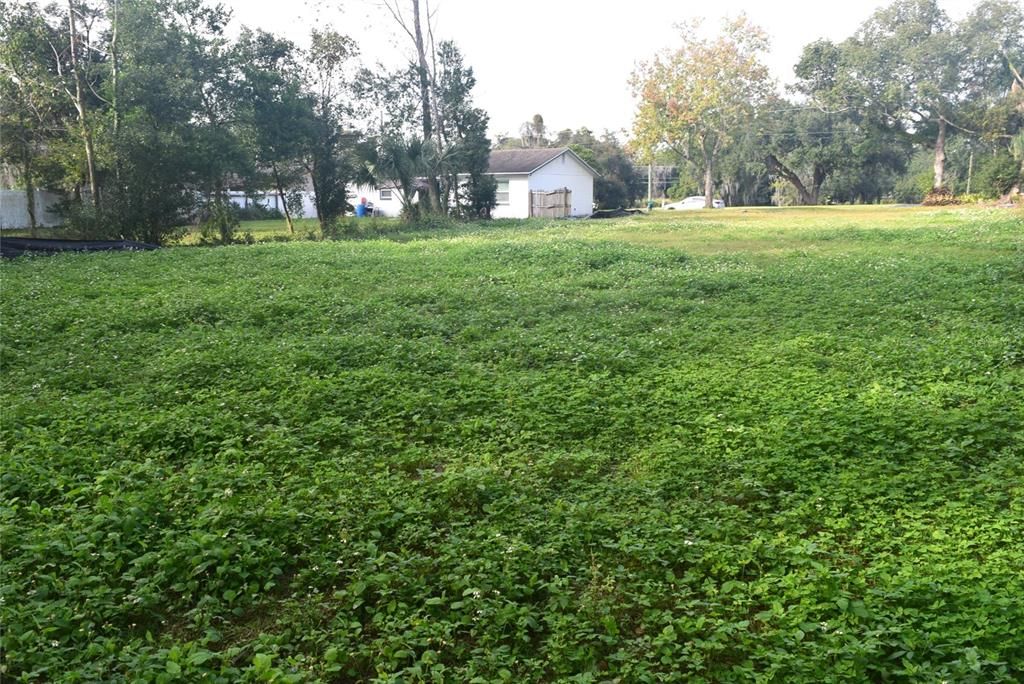 For Sale: $79,900 (0.31 acres)