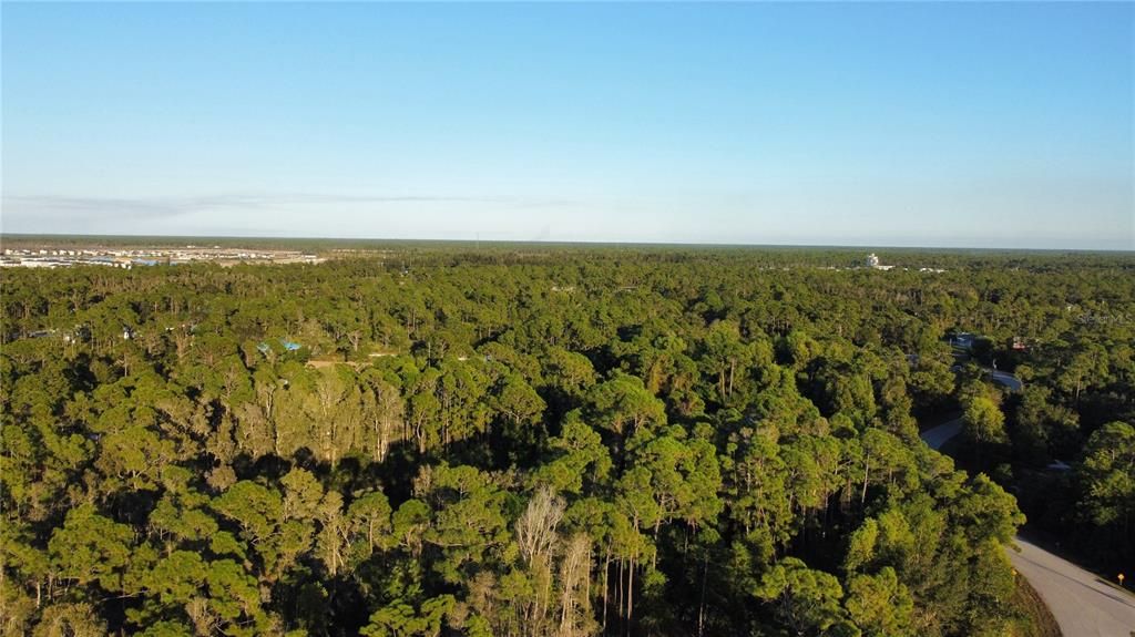 For Sale: $20,000 (0.31 acres)