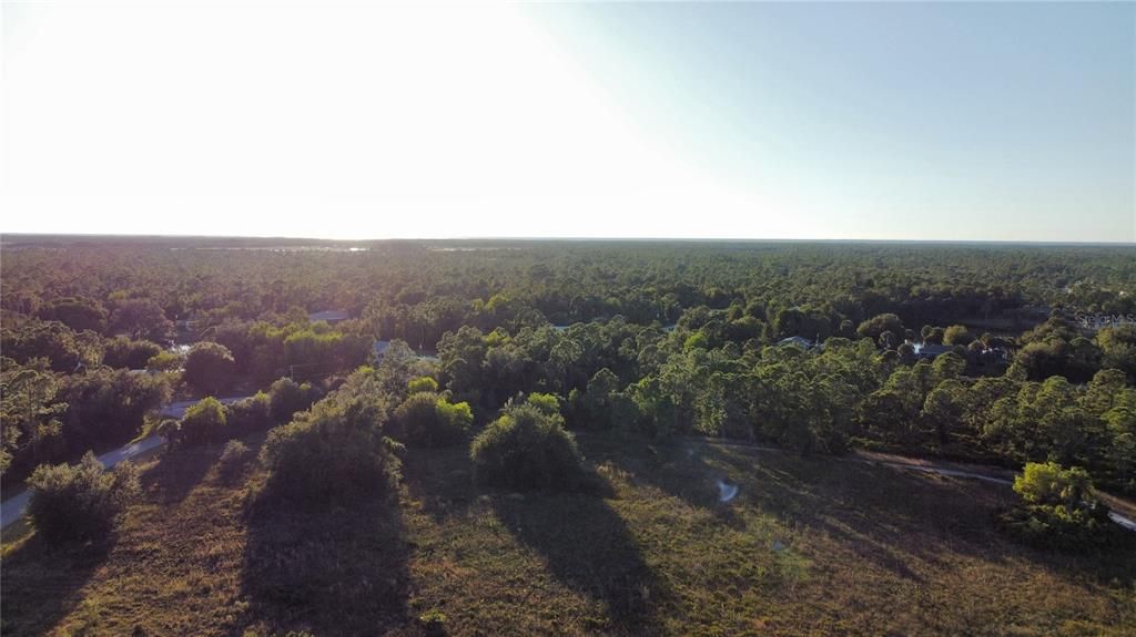 For Sale: $20,000 (0.31 acres)