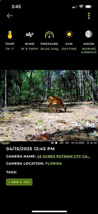 For Sale: $395,000 (42.50 acres)