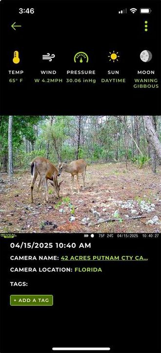 For Sale: $395,000 (42.50 acres)