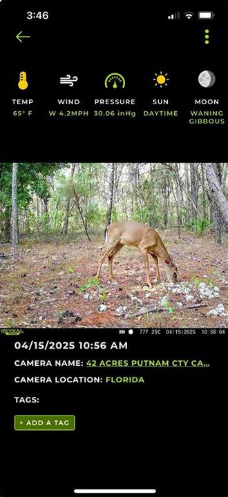 For Sale: $395,000 (42.50 acres)