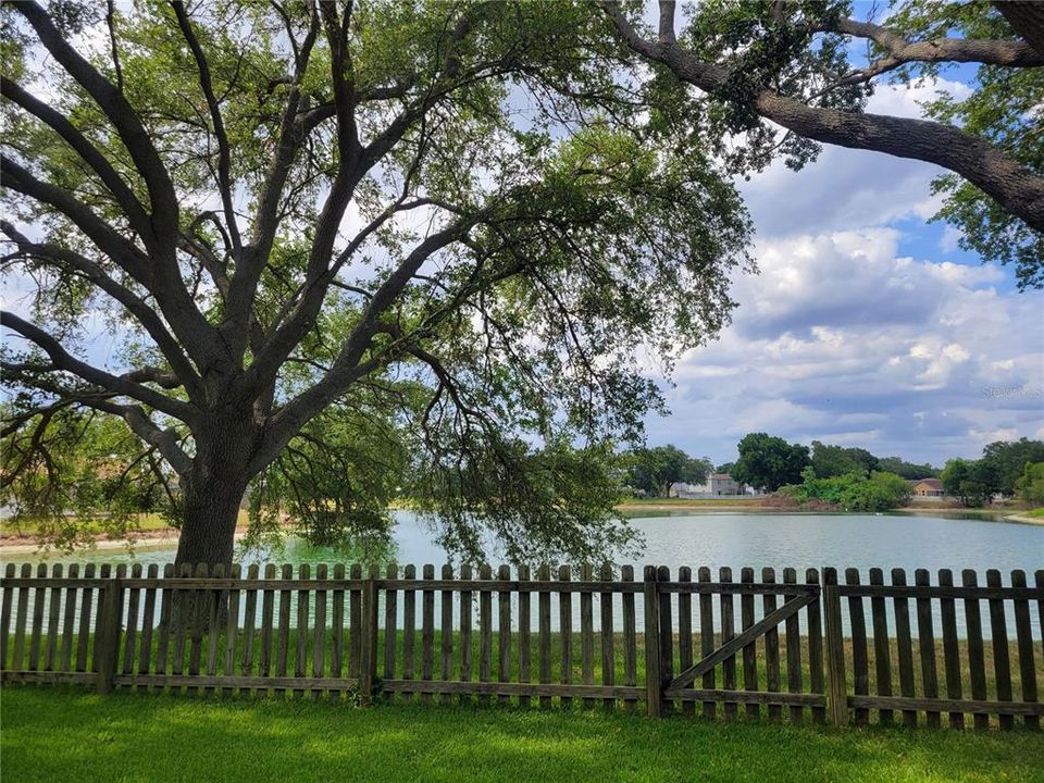 В аренду: $2,600 (3 спален, 2 ванн, 1810 Квадратных фут)