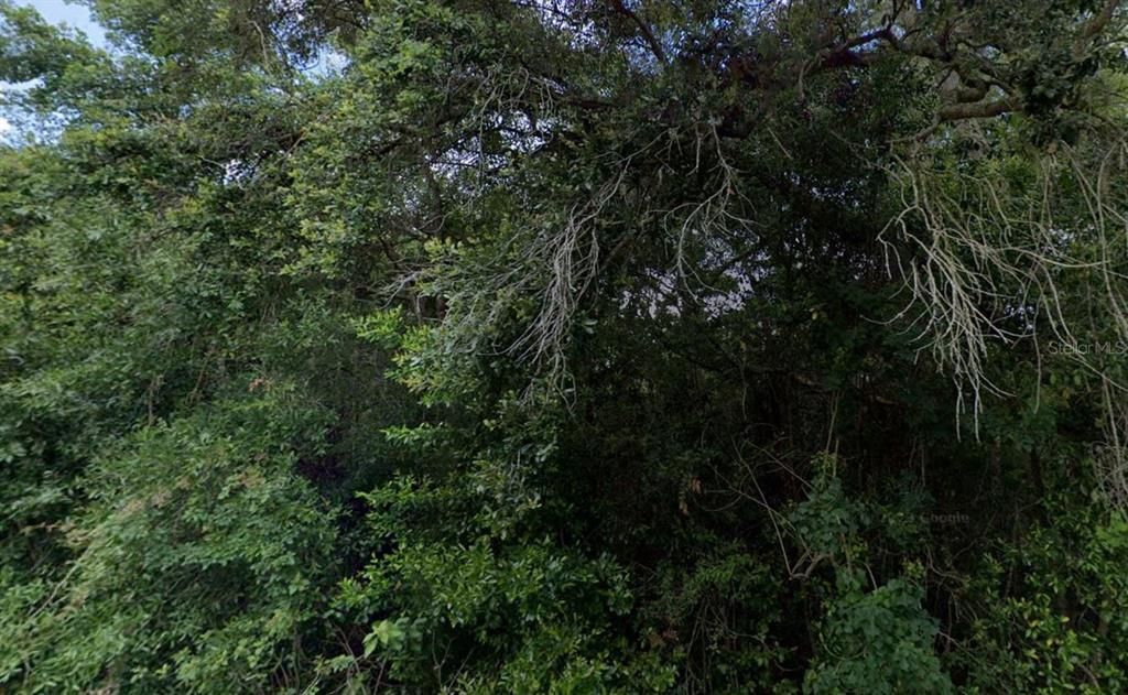 For Sale: $27,500 (0.55 acres)