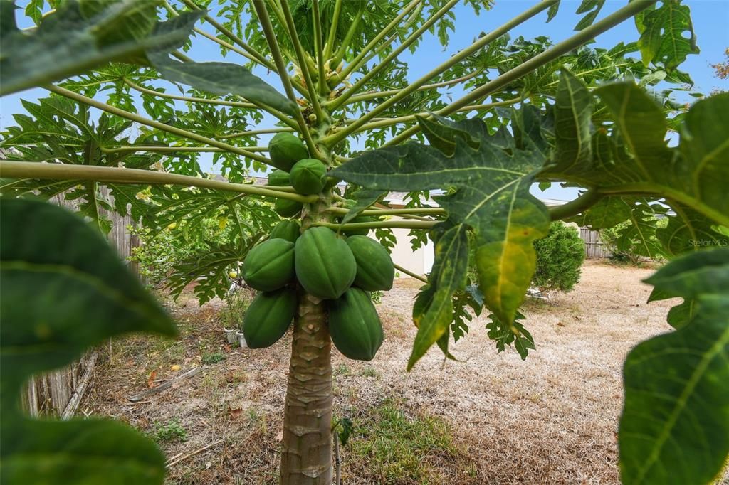 待售: $255,000 (2 贝兹, 2 浴室, 984 平方英尺)