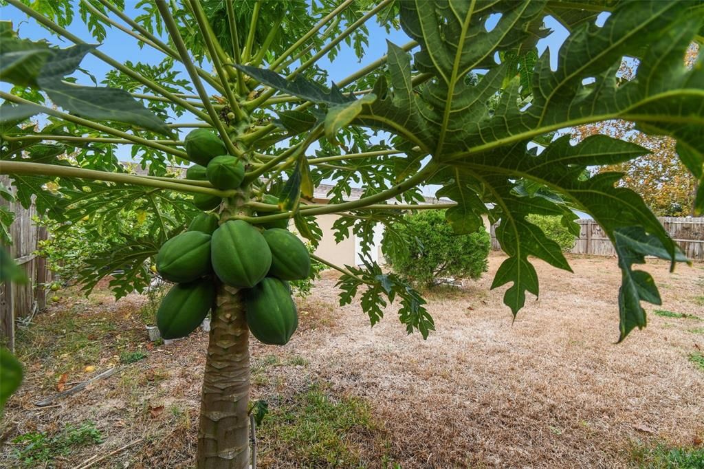 待售: $255,000 (2 贝兹, 2 浴室, 984 平方英尺)