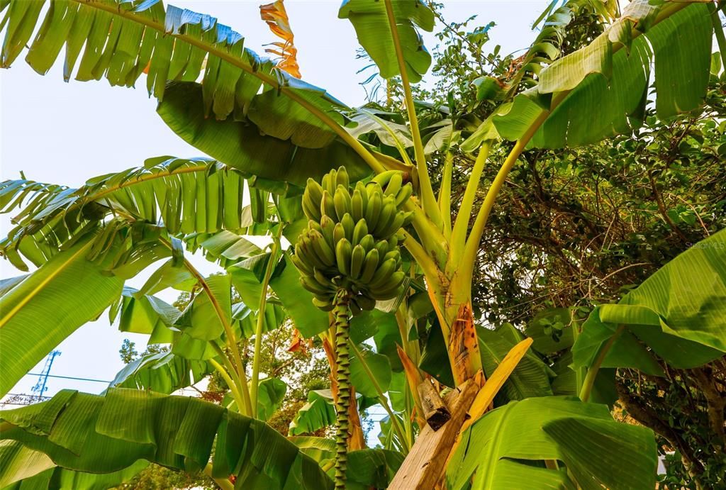 For Rent: $2,500 (3 beds, 2 baths, 1317 Square Feet)