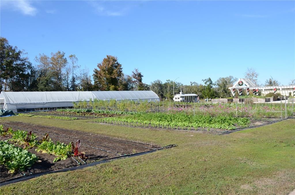 En Renta: $2,500 (3 camas, 2 baños, 1486 Pies cuadrados)
