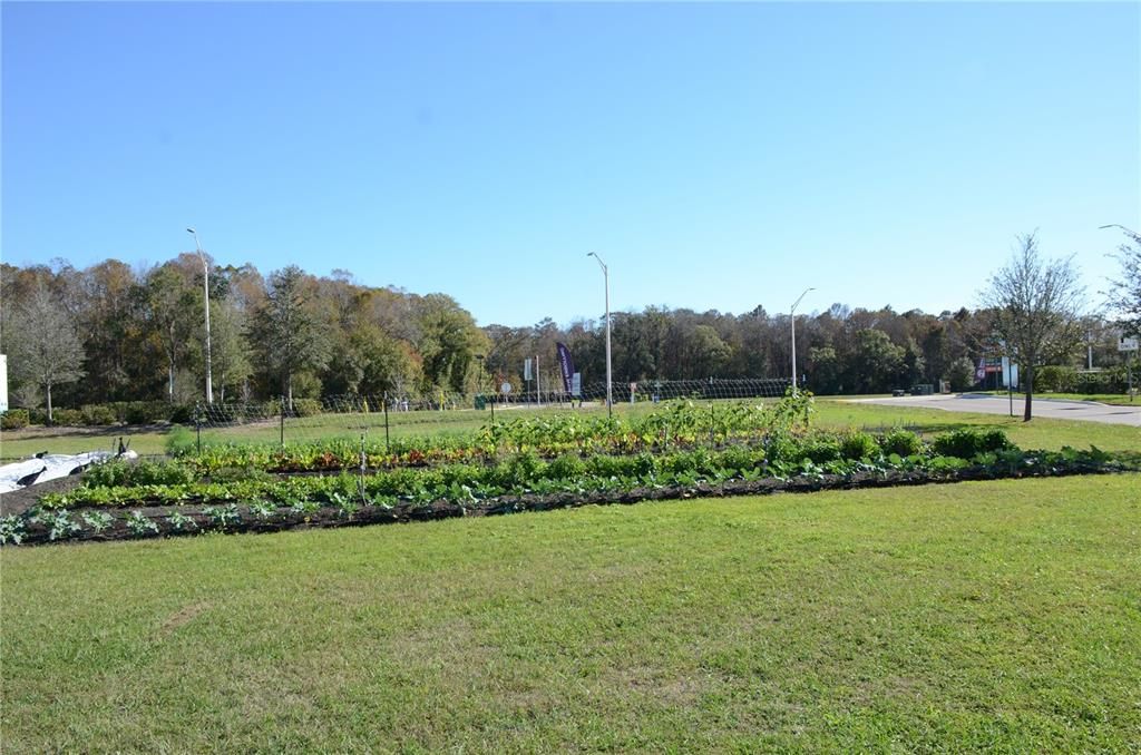 En Renta: $2,500 (3 camas, 2 baños, 1486 Pies cuadrados)