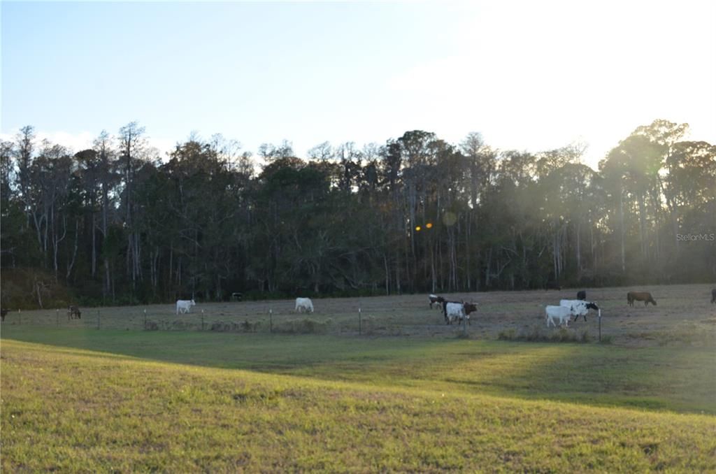 En Renta: $2,500 (3 camas, 2 baños, 1486 Pies cuadrados)