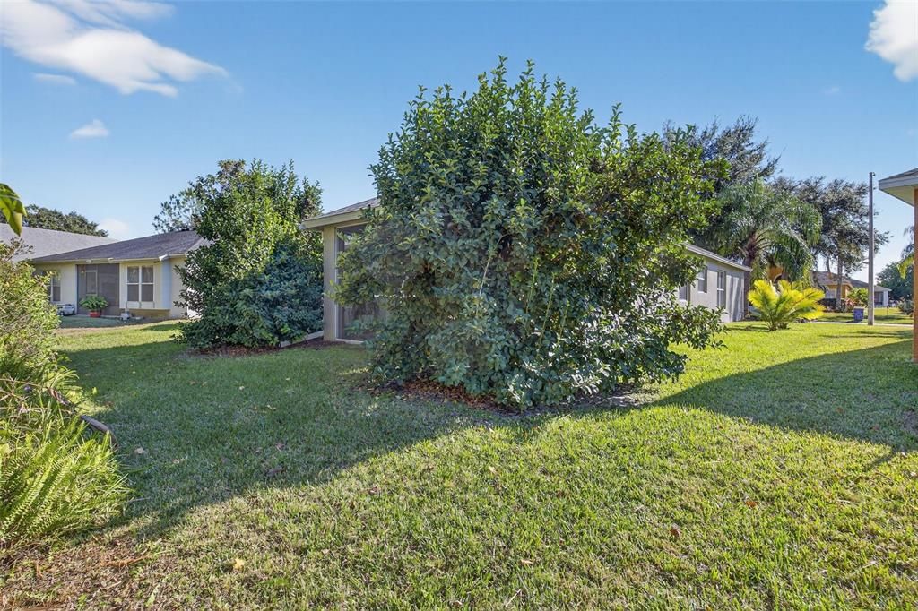 For Sale: $430,000 (3 beds, 2 baths, 1955 Square Feet)