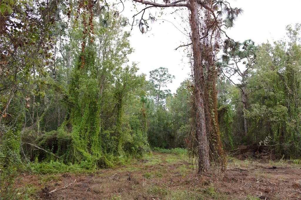 For Sale: $179,900 (5.00 acres)