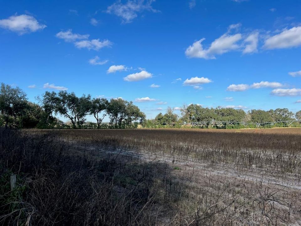 На продажу: $299,000 (20.05 acres)