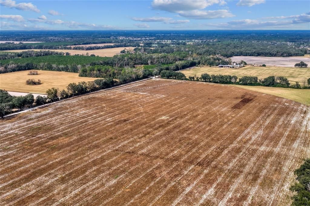 На продажу: $299,000 (20.05 acres)