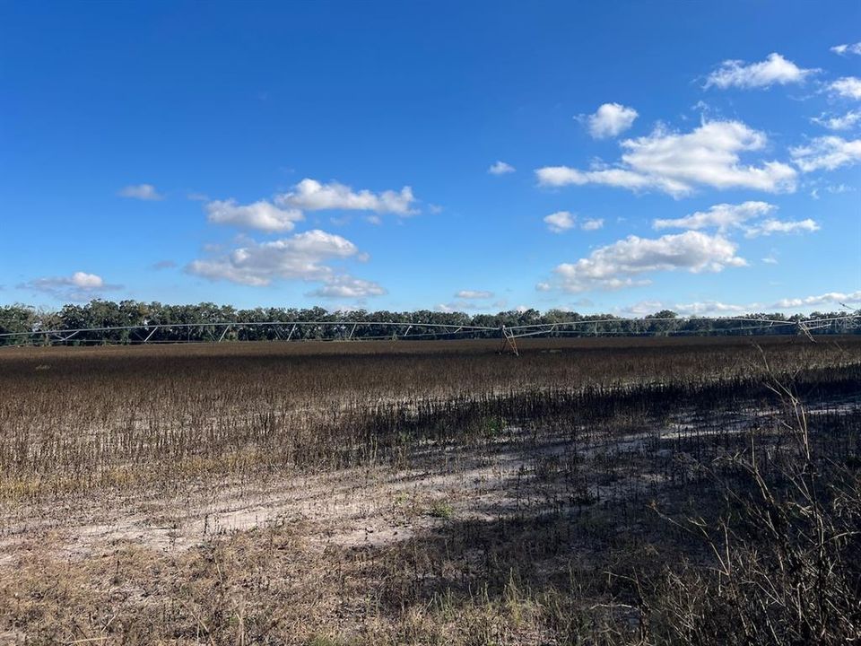 На продажу: $299,000 (20.05 acres)