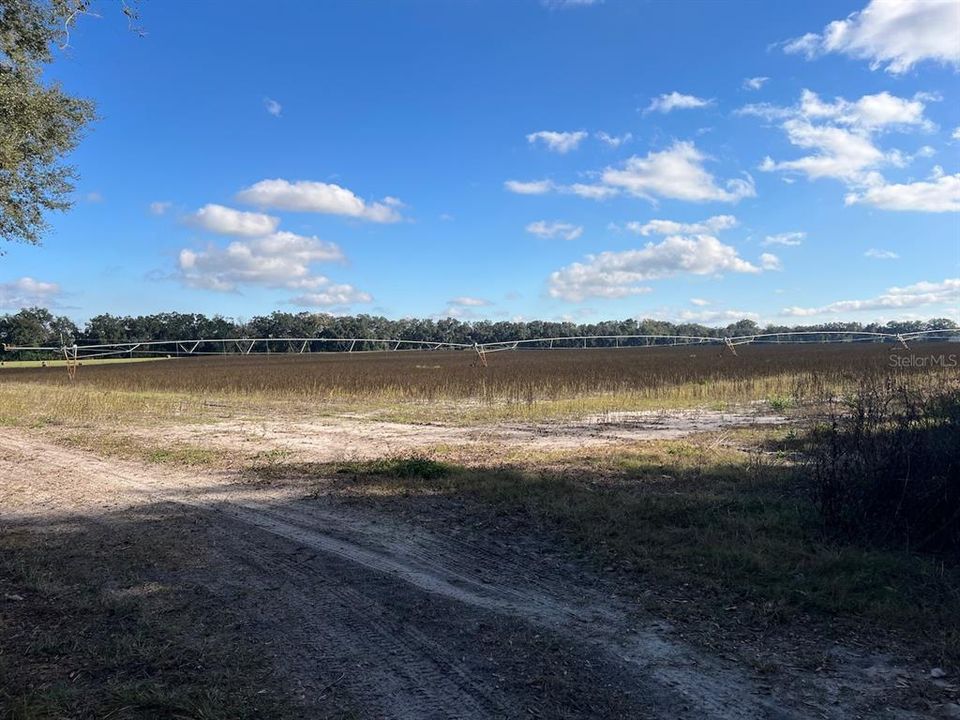 На продажу: $299,000 (20.05 acres)