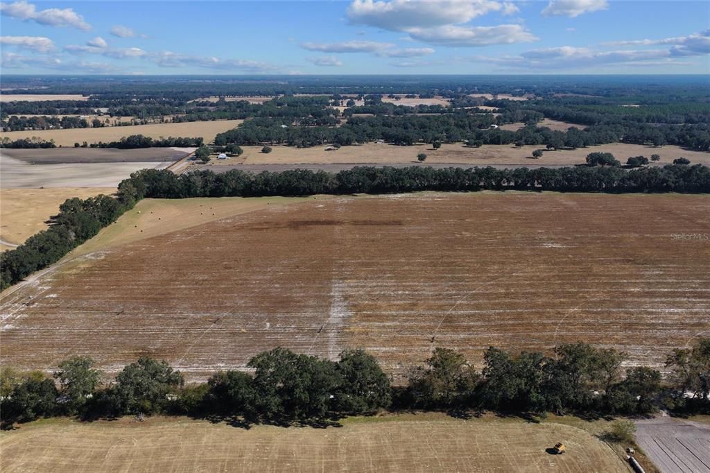 На продажу: $299,000 (20.05 acres)