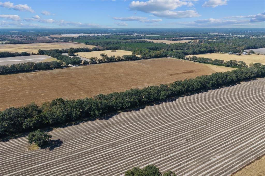 На продажу: $299,000 (20.05 acres)