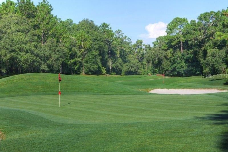 待售: $319,900 (3 贝兹, 2 浴室, 1459 平方英尺)