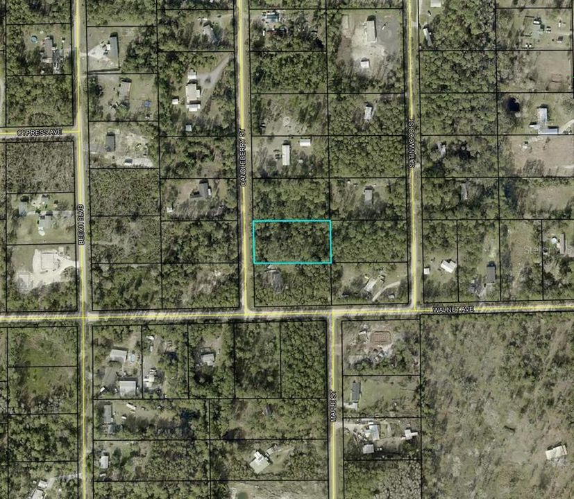 For Sale: $33,499 (1.14 acres)