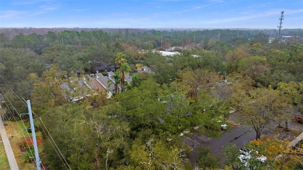 出租: $1,650 (2 贝兹, 2 浴室, 1159 平方英尺)