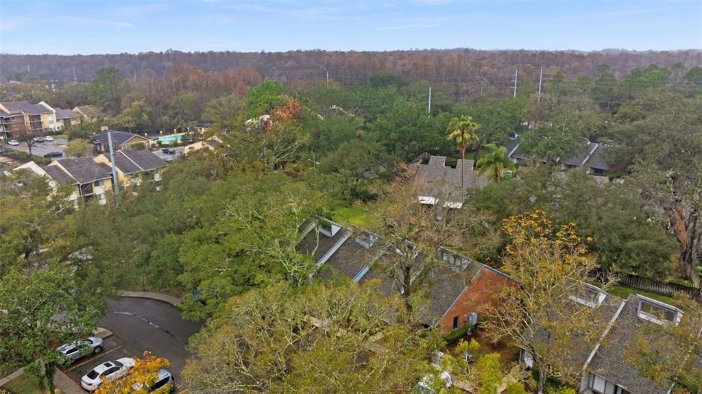 出租: $1,650 (2 贝兹, 2 浴室, 1159 平方英尺)