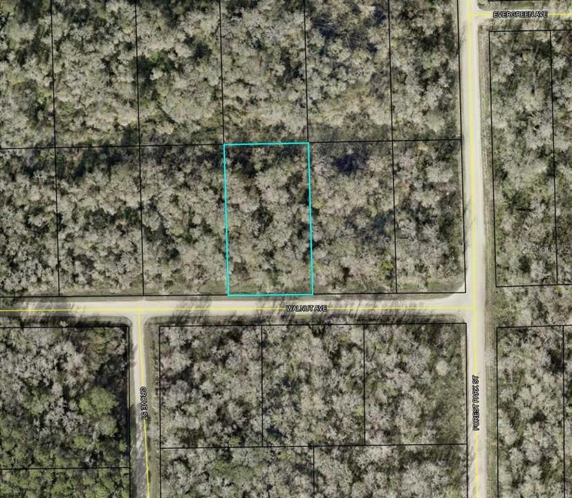 En Venta: $14,999 (1.12 acres)