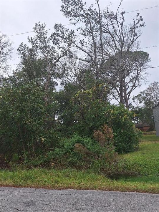 For Sale: $40,000 (0.29 acres)