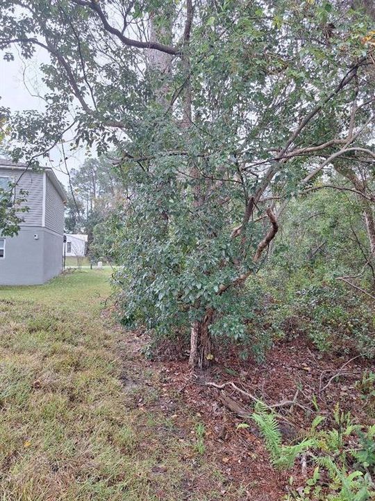 For Sale: $40,000 (0.29 acres)