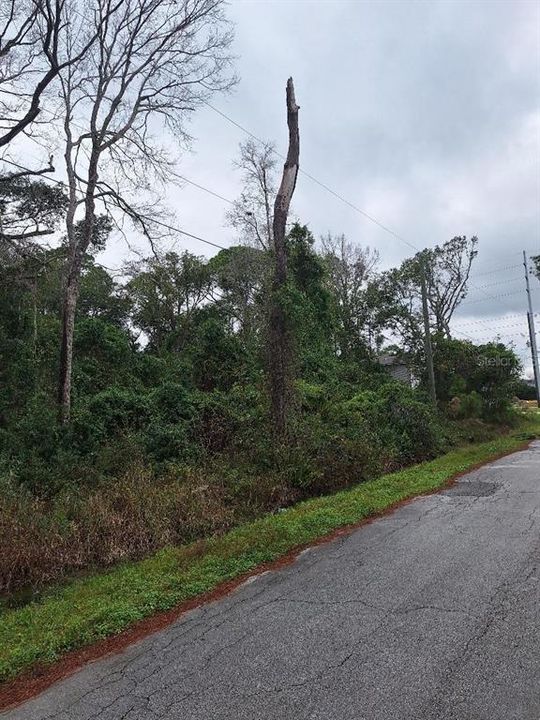 For Sale: $40,000 (0.29 acres)