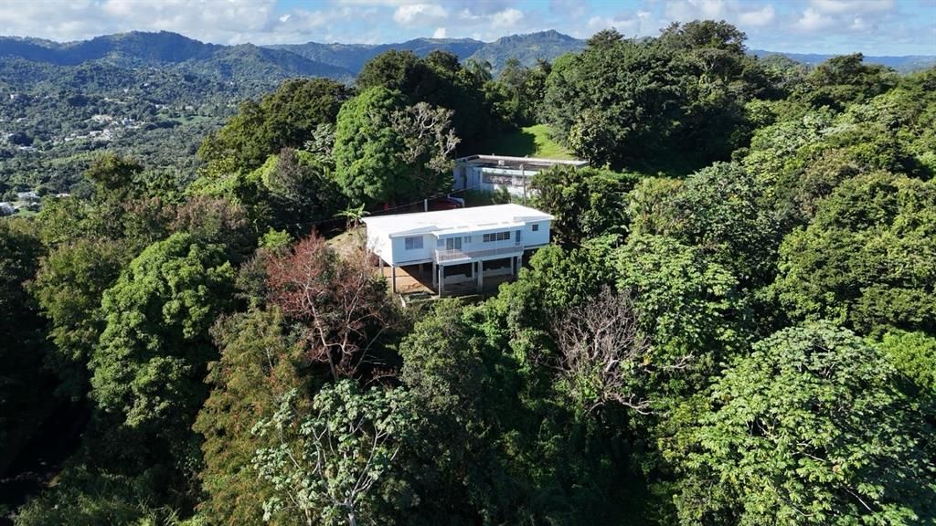 En Venta: $225,000 (3 camas, 2 baños, 1062 Pies cuadrados)