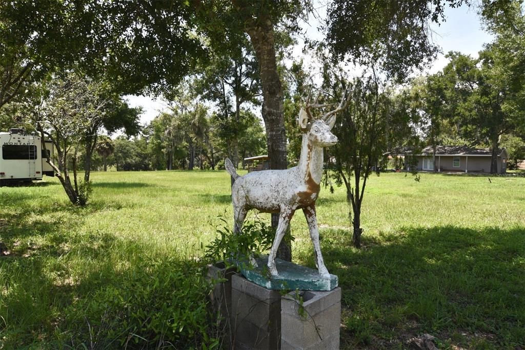 For Sale: $479,900 (5.26 acres)