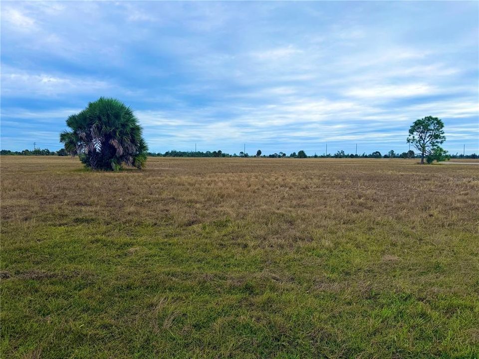 For Sale: $20,000 (0.17 acres)