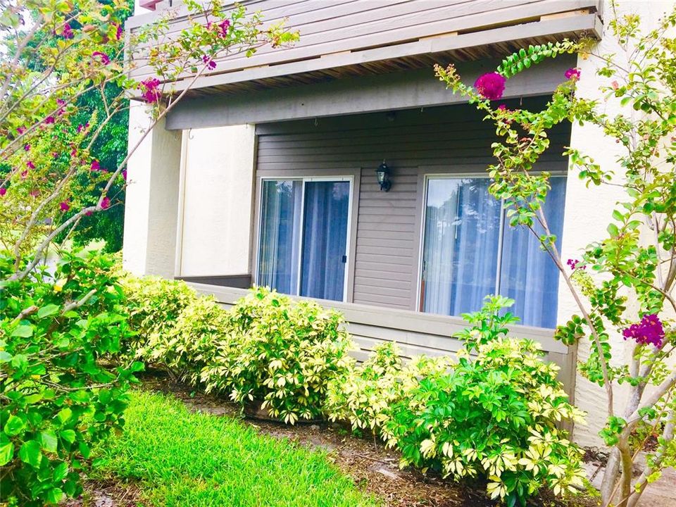 В аренду: $1,575 (1 спален, 1 ванн, 742 Квадратных фут)