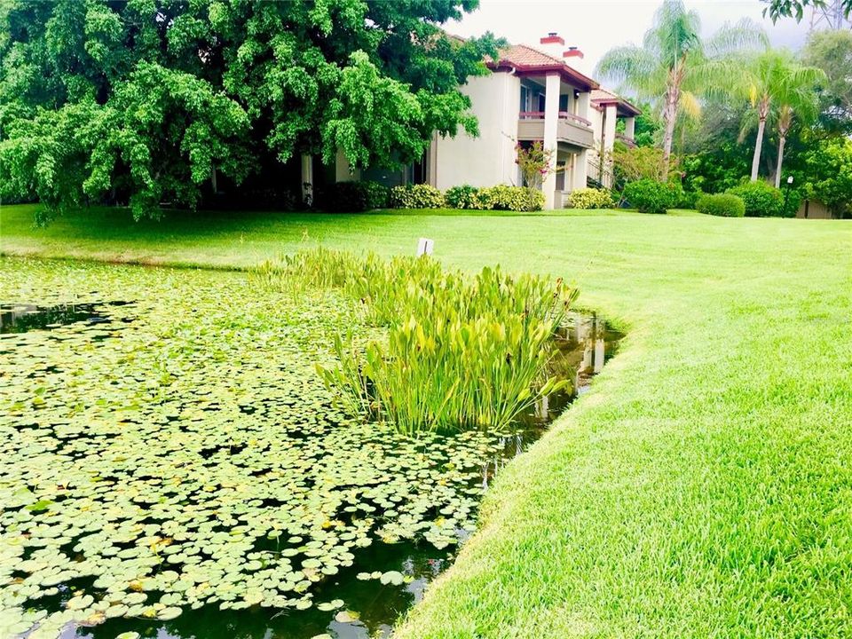 В аренду: $1,575 (1 спален, 1 ванн, 742 Квадратных фут)