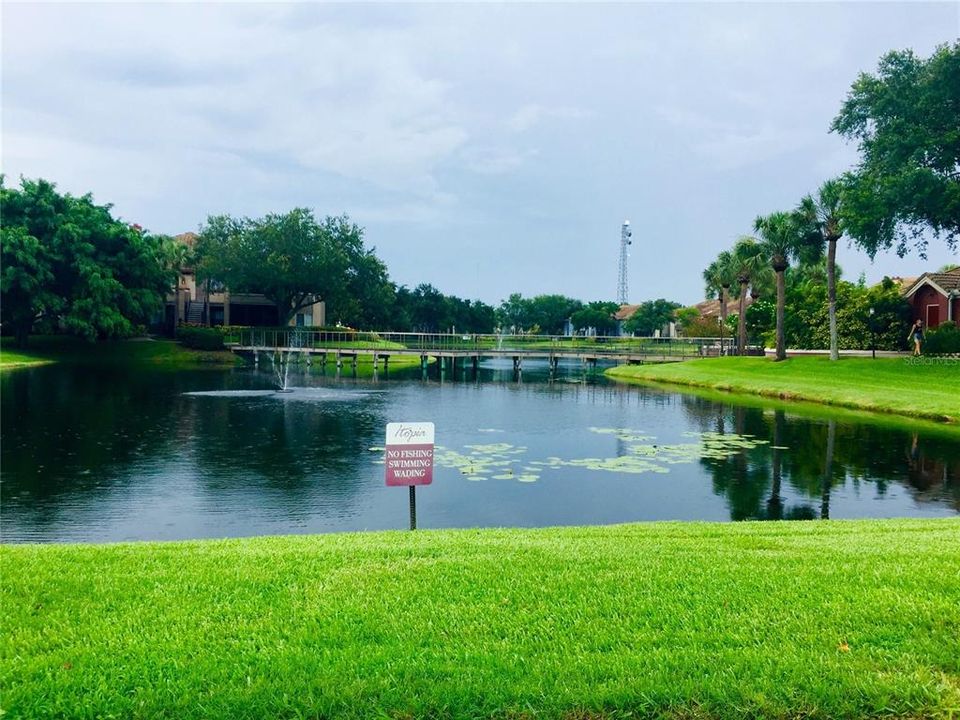 В аренду: $1,575 (1 спален, 1 ванн, 742 Квадратных фут)